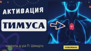 ТИМУС 2,0 СУПЕР ОМОЛОЖЕНИЕ*ЧАСТОТЫ Д-РА ШМИДТА*ИСЦЕЛЕНИЕ ЗВУКОМ