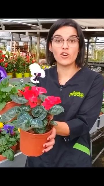 1. смотреть онлайн