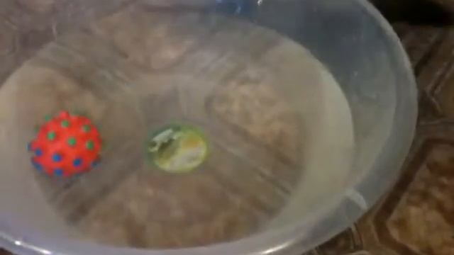 Соня, которая смогла! смотреть онлайн