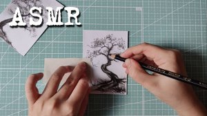[ASMR] Рисунок угольным карандашом (2/5)