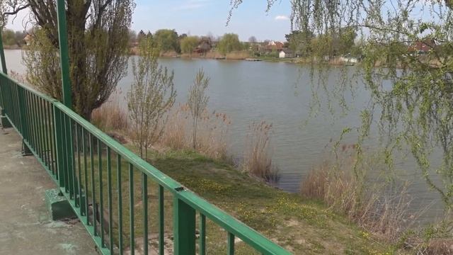 Park prirode Stara Tisa, Čurug, opština Žabalj смотреть онлайн