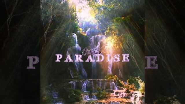 Paradise Feat Vusi LoH смотреть онлайн