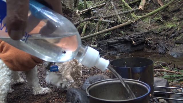 Hammock Camping 5 Years With My Dog Cooper Campfire Overnight смотреть онлайн