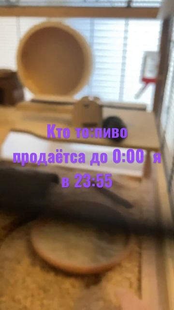 #говрек #хзчтописать #_shorts #говреки #нерофл #го #хома#хомяк#хомячок смотреть онлайн
