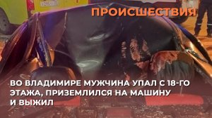 Во Владимире мужчина упал с 18-го этажа, приземлился на машину и выжил