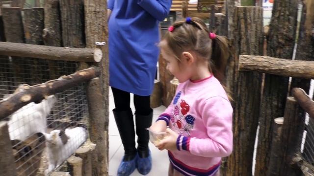 VLOG Контактный зоопарк. На Папу НАПАЛА ВОРОНА!!! \ Petting zoo. The Pope ATTACKED CROW смотреть онлайн