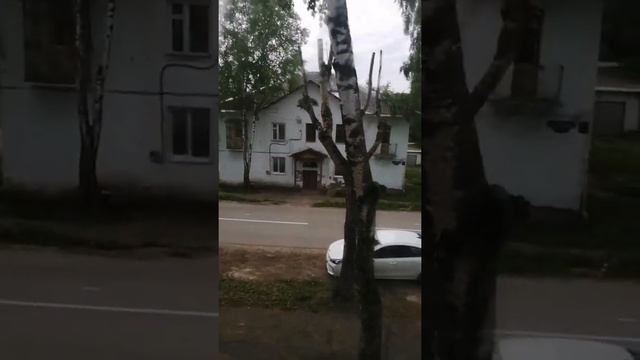 Гринвей салфетка для стекла... Суперрр смотреть онлайн