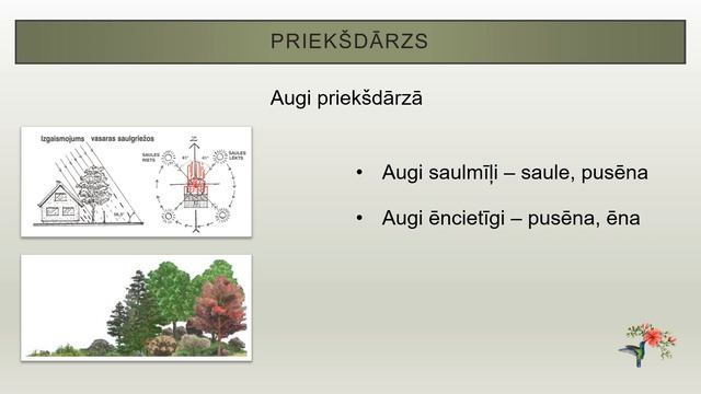 270. Prezentācija. Priekšdārzs! Ainavu Arhitekts Agris Akons plāno ārtelpu. 3D. 4D.Video. смотреть онлайн