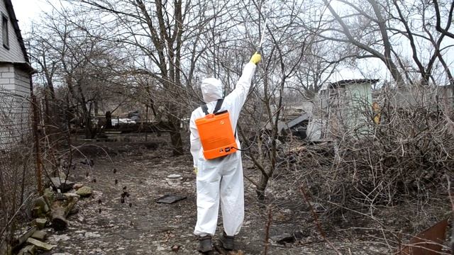 Обработка Абрикосы и Винограда 1% Бордоской смесью. В середине марта. Классный костюмчик смотреть онлайн