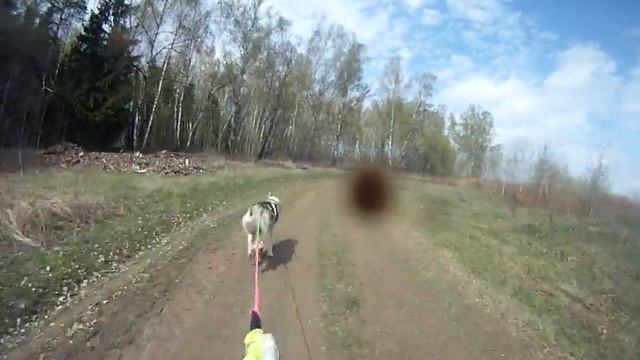 ДОМОДЕДОВО 2.05.2015 смотреть онлайн