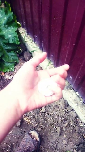 это. что смотреть онлайн