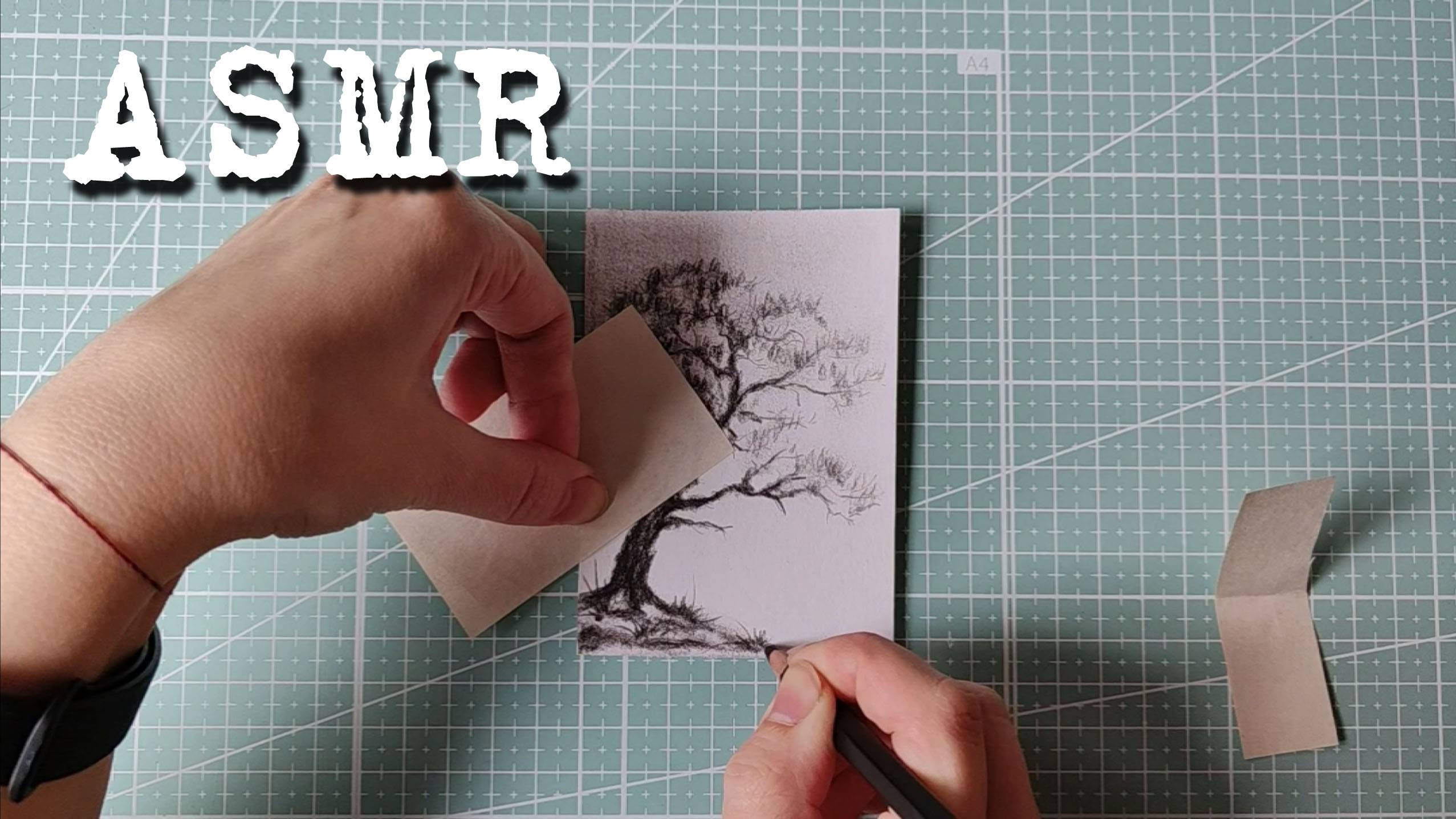 [ASMR] Рисунок угольным карандашом (1/5) смотреть онлайн