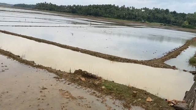 Vlog 2|pullu|Thrissur смотреть онлайн