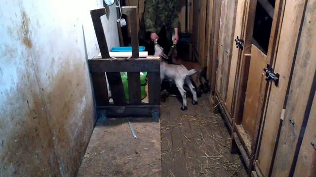День пролетел - не заметила смотреть онлайн