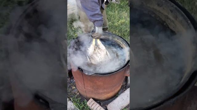 Щипалка для куриц смотреть онлайн
