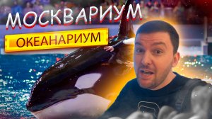 Москвариум 2025! Обзор. Лучший Океанариум! Развлечения в МОСКВЕ! Что посмотреть?ВДНХ, АКУЛЫ,КОСАТКА
