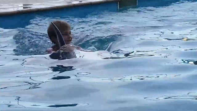 Дима с дельфинами смотреть онлайн