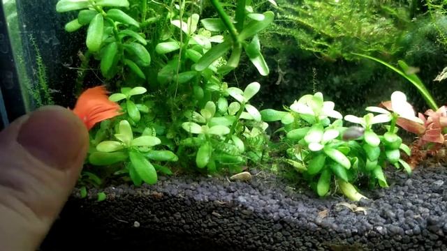 9 января 2022 г. смотреть онлайн