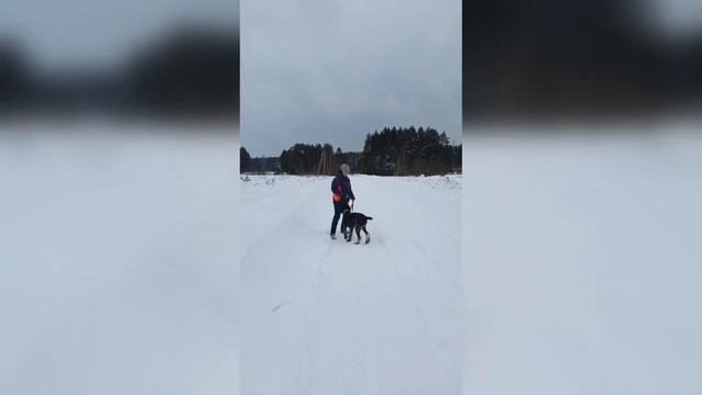 Удавка смотреть онлайн
