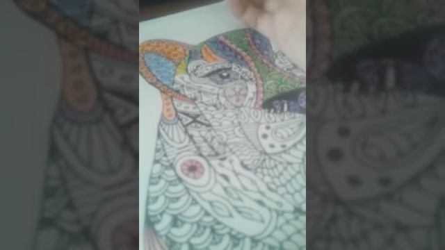 Мой тигр смотреть онлайн