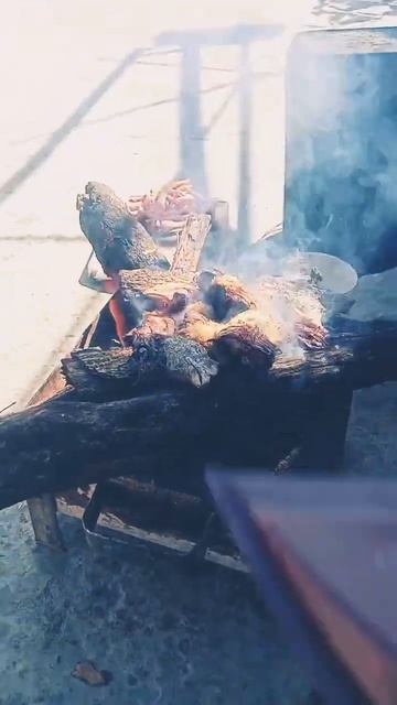 dog food #youtubeshorts #shortsvideo #goldenretriever #dogtrainer смотреть онлайн