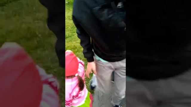 17 июня 2017 г. смотреть онлайн