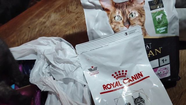 Не всё так плохо смотреть онлайн