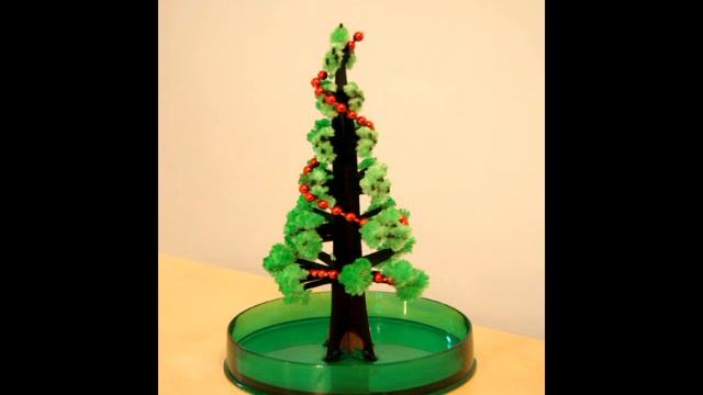 Magic Tree смотреть онлайн
