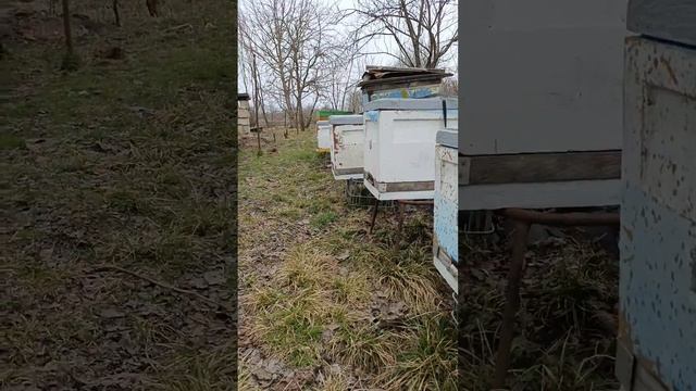 7 марта 2024 г. смотреть онлайн