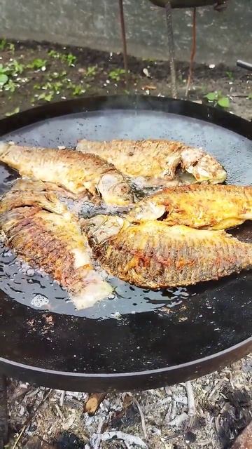 Frying fish in a SAJ pan #shorts #frying #fryingfish #saj смотреть онлайн