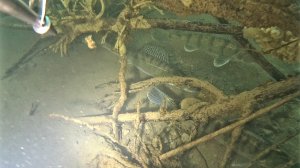 Подводная Охота.Осенний Поиск Судака.Подводная Охота в Башкирии