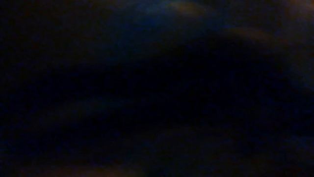 Мои тритоны , кормлю их смотреть онлайн