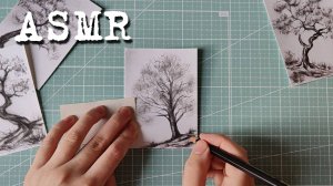 [ASMR] Рисунок угольным карандашом (4/5)