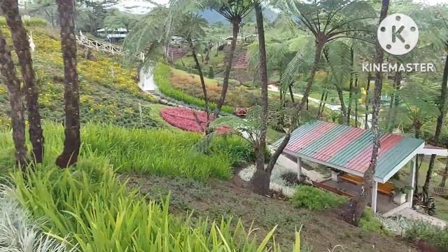 Gantao Hills , The Little Taiwan of the Philippines 2022 | Lili Santos смотреть онлайн