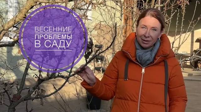 ВЕСЕННИЕ ПРОБЛЕМЫ В САДУ. Запись эфира смотреть онлайн