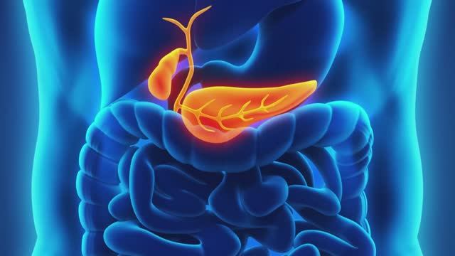 ПОДЖЕЛУДОЧНАЯ ЖЕЛЕЗА восстанавливается и молодеет! Вот чем я очищаю поджелудочную смотреть онлайн