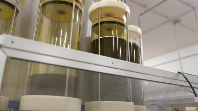 Blera - Associazione nazionale città dell'Olio смотреть онлайн