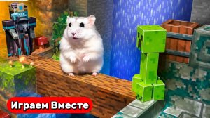 Лабиринт для Хомяка ! Умный Хомяк попал в МАЙНКРАФТ ЛАБИРИНТ ❤️ Видео для детей