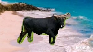 побег от быка add round 6