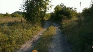 lavrensem отрывок клипа сема бич 1080p