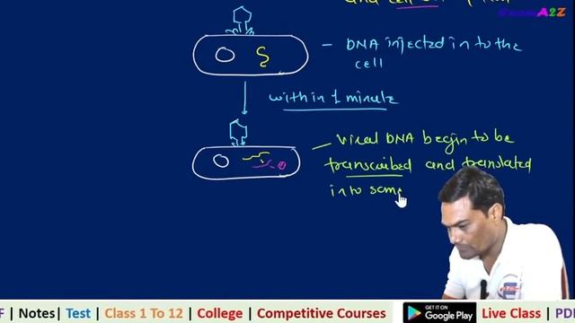 27 GENETICS OF PROKARYOTES AND EUKARYOTIC ORGANELLES смотреть онлайн