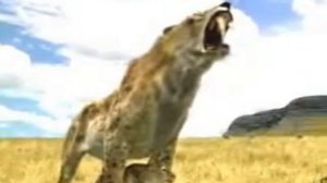 smilodon tribute