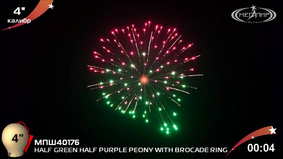 HALF GREEN HALF PURPLE PEONY WITH BROCADE RING МПШ40176 смотреть онлайн