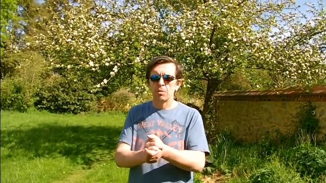 Салям Алейкум господа! смотреть онлайн