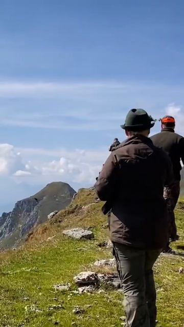 Medības Austrijā. Meklējam kalnos murkšķus смотреть онлайн