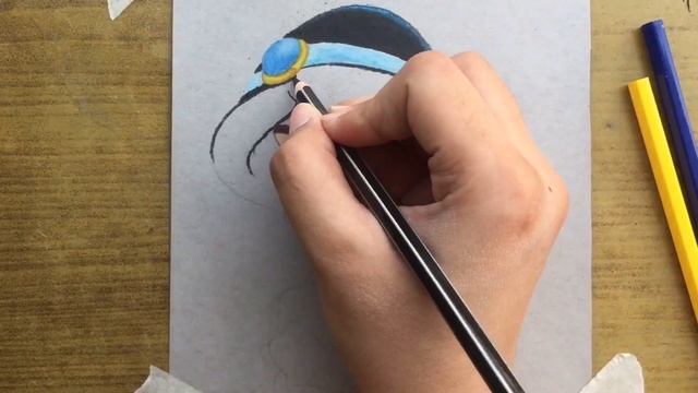 DISNEY Princess Jasmine Drawing How to Color. смотреть онлайн