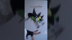 Драконы из тик тока(не мои)