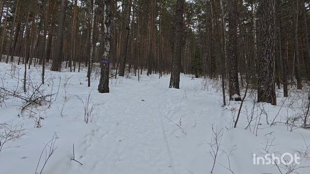 Пеший зимний поход на скалу Ермак. Красноярские столбы. смотреть онлайн