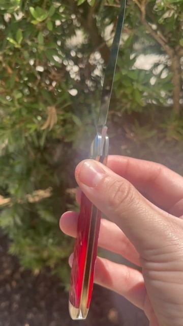 Great Eastern Cutlery 65 Indian Paint Brush Jigged Bone Northfield UnXLd #youtubeshorts #edc #knife смотреть онлайн