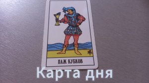 Карта дня